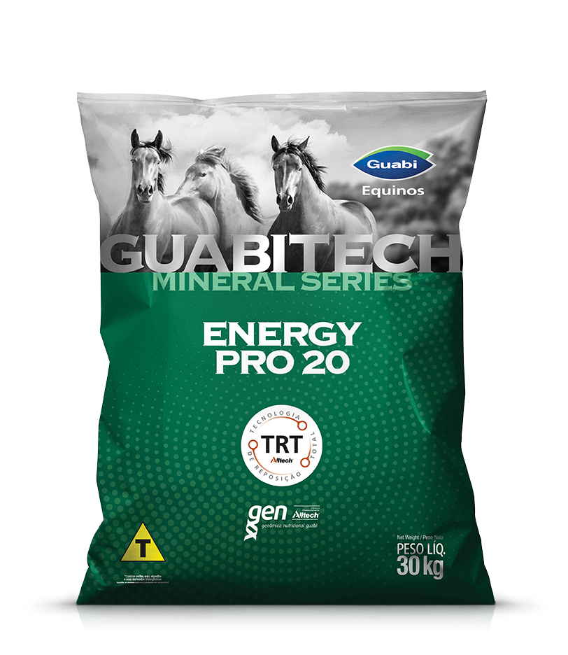 Guabitech Energy Pro 20