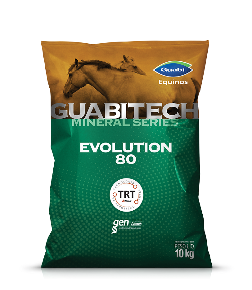Guabitech Evolution 80